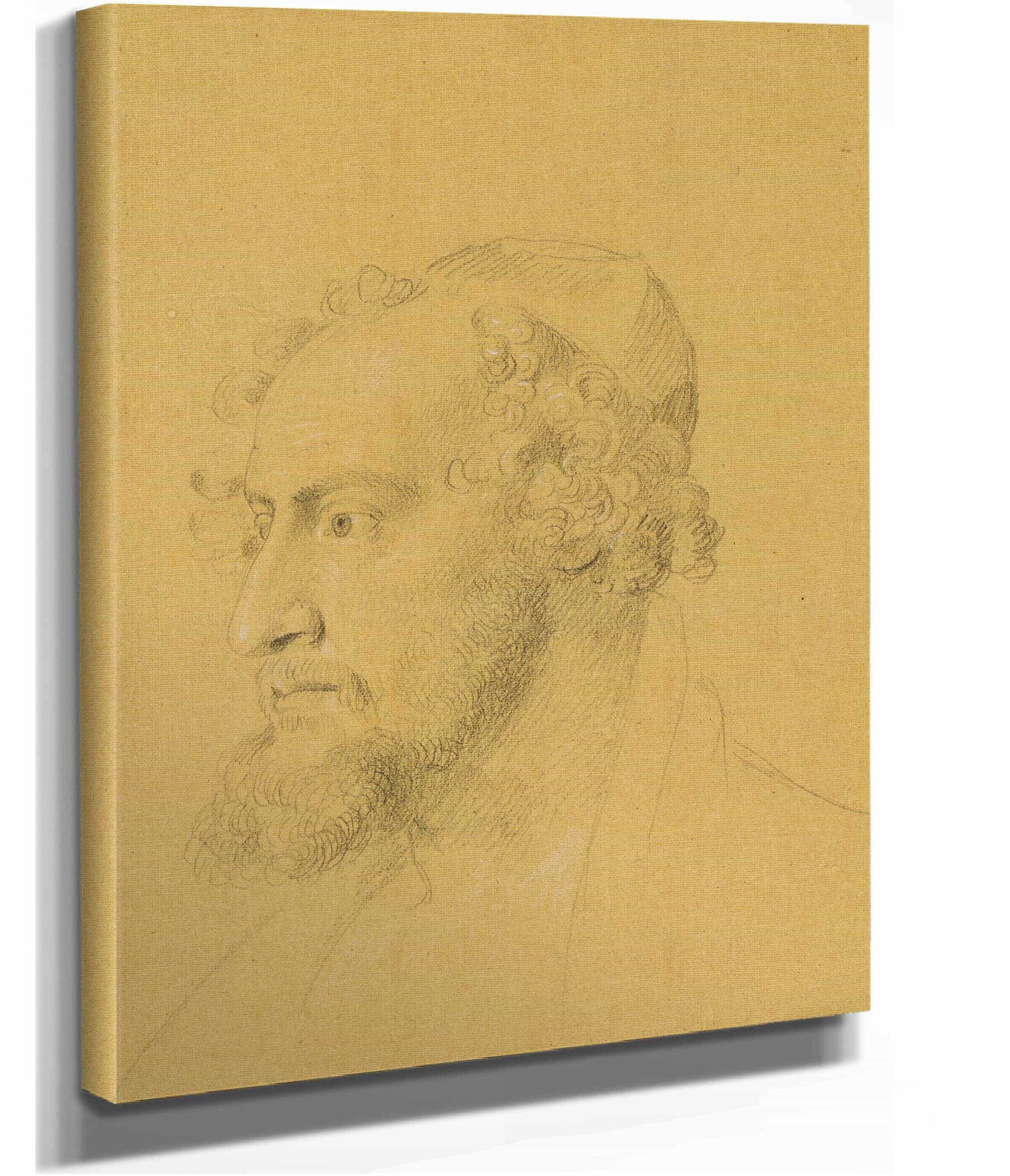 Kopfstudie Eines Bartigen by Johann Peter Krafft