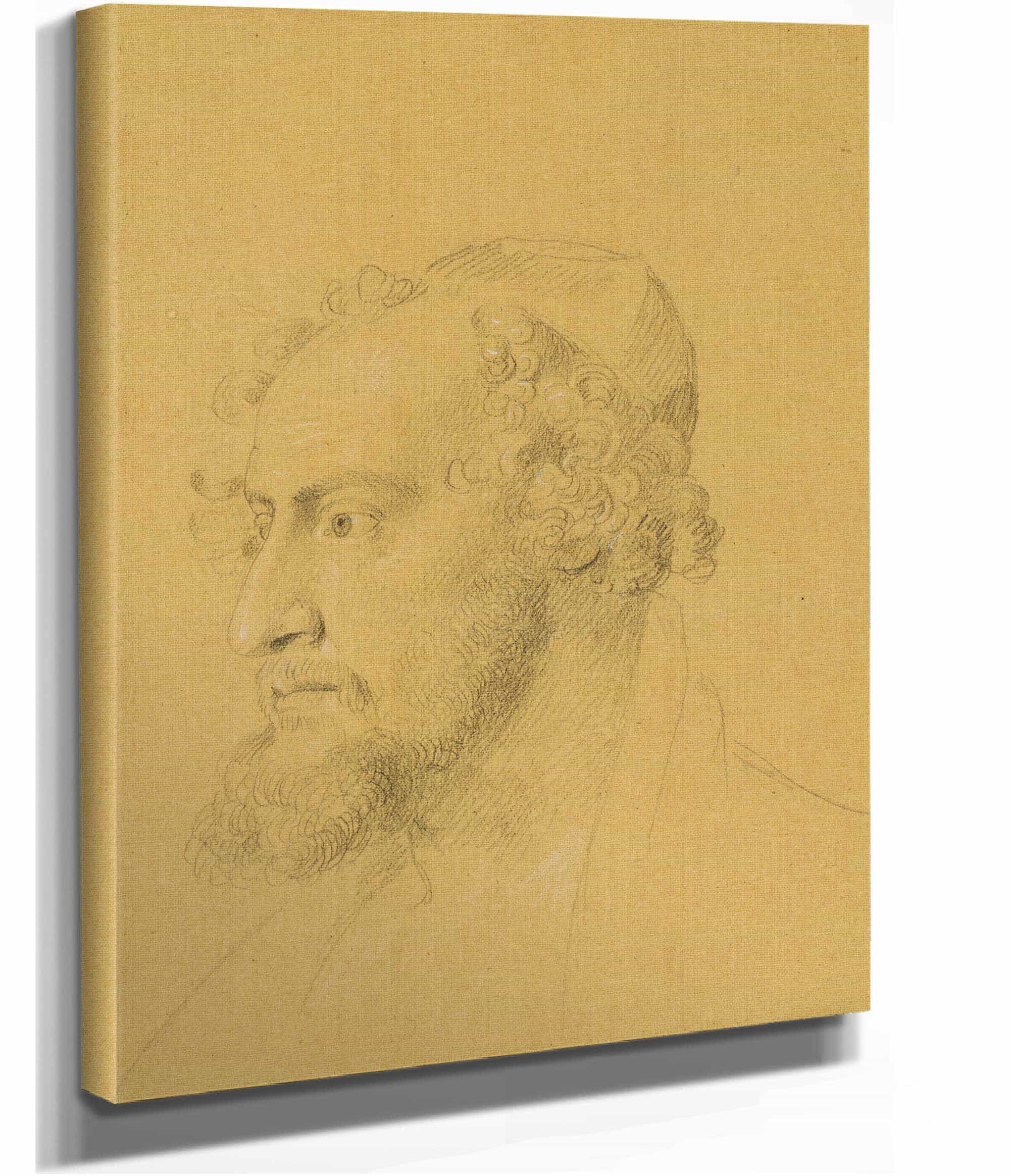 Kopfstudie Eines Bartigen by Johann Peter Krafft
