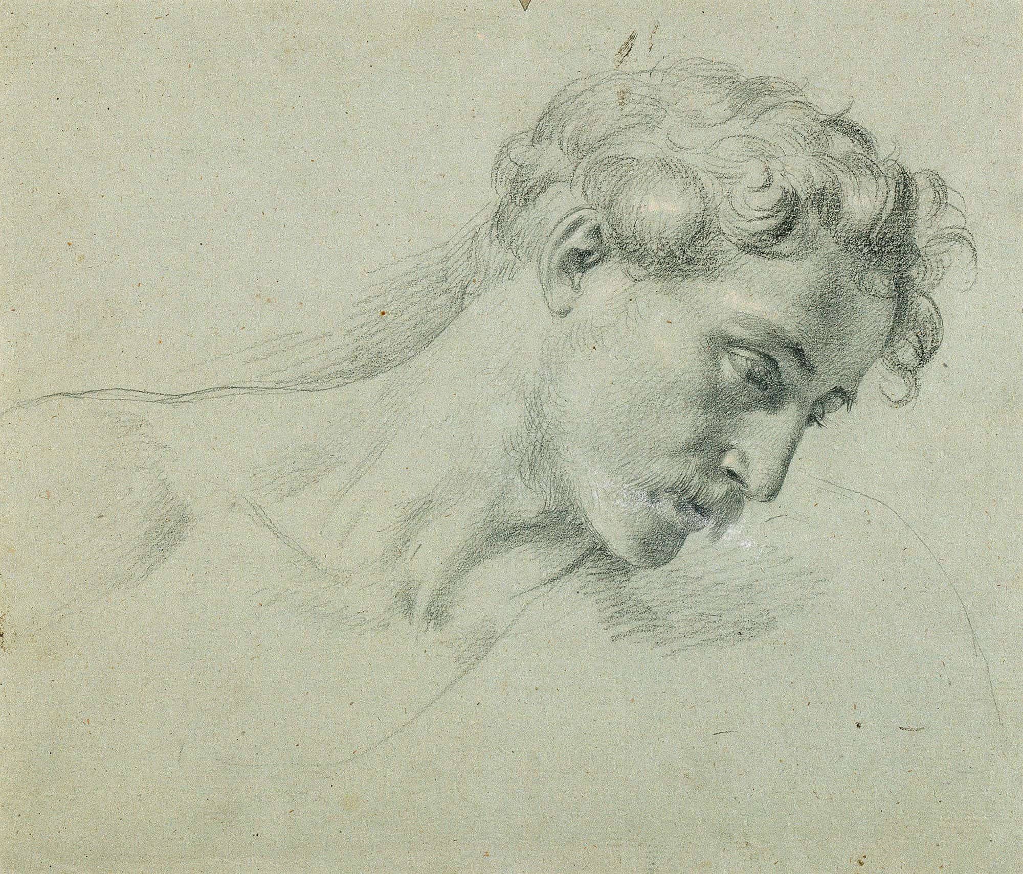 Kopfstudie Zu Arindal Und Daura by Johann Peter Krafft
