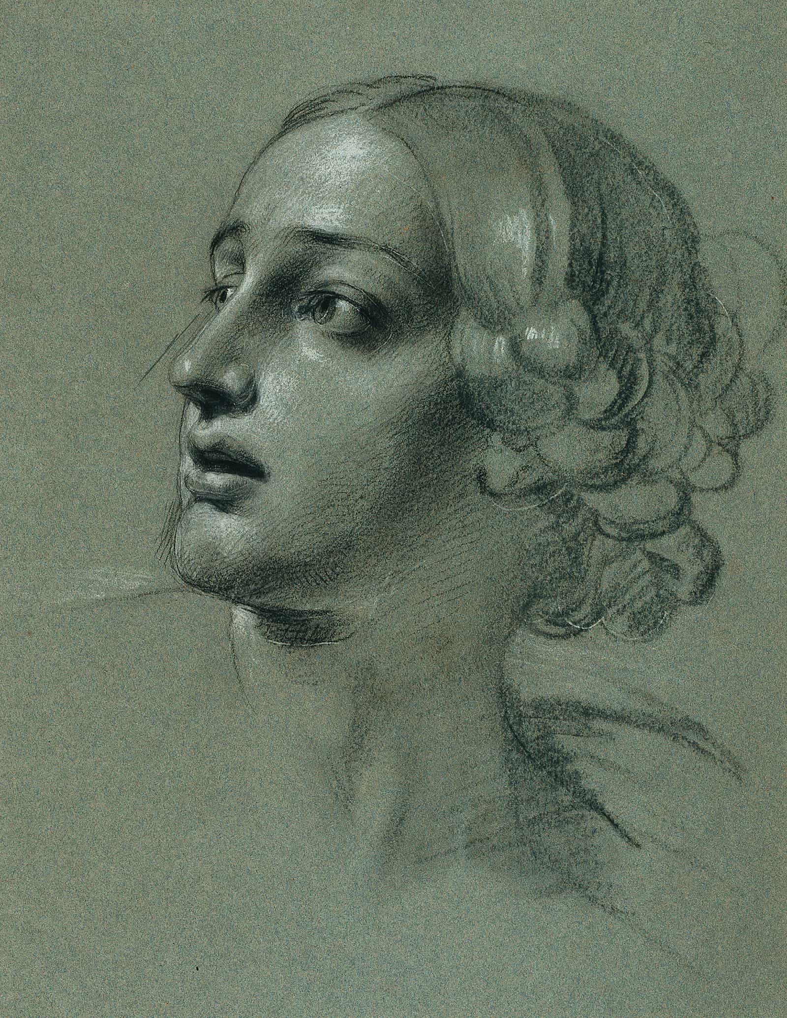 Kopfstudie Zu Arindal Und Daura by Johann Peter Krafft