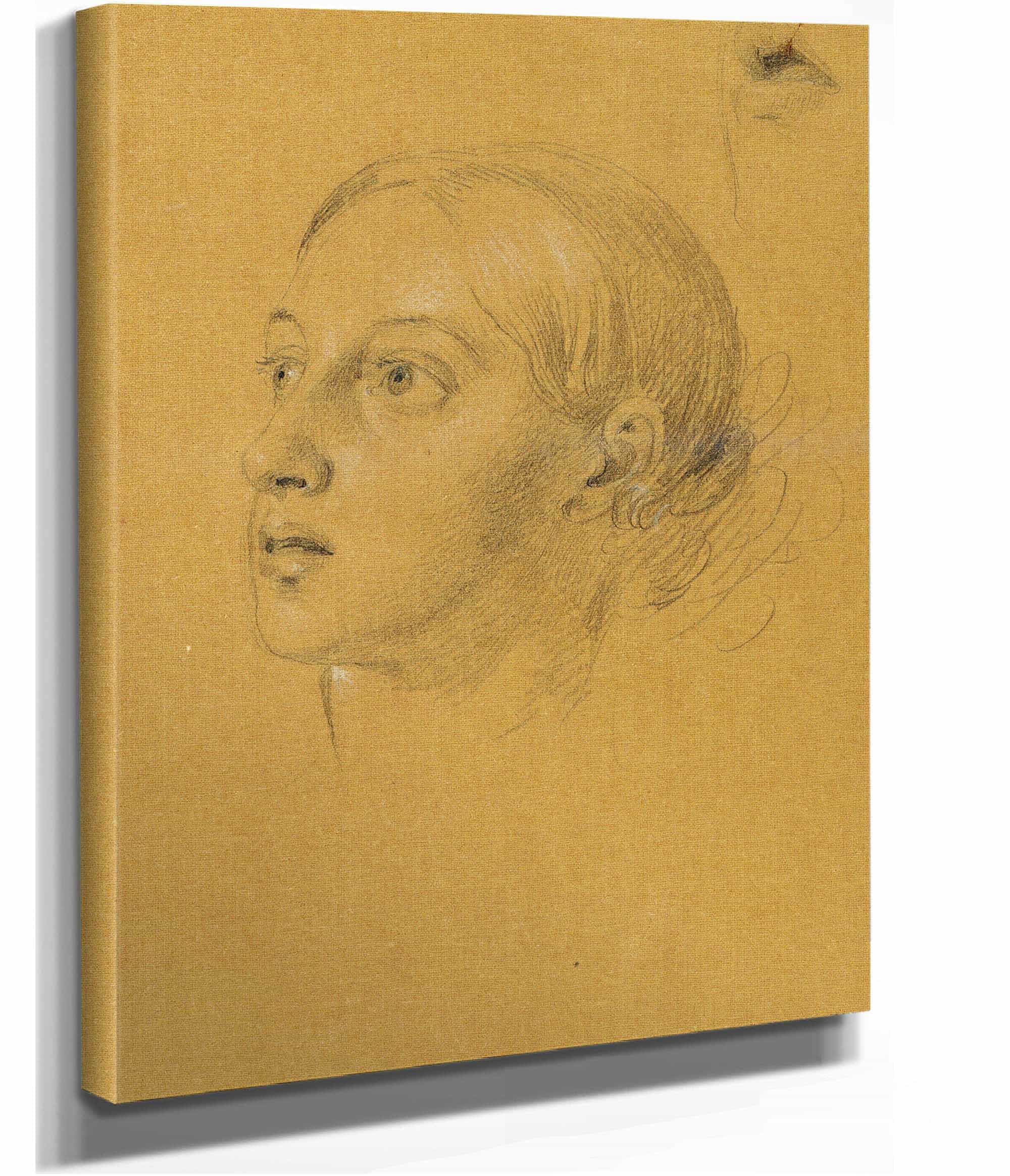 Kopfstudie Zu Arindal Und Daura by Johann Peter Krafft