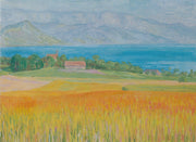 Kornfeld Am Attersee by Walther Gamerith