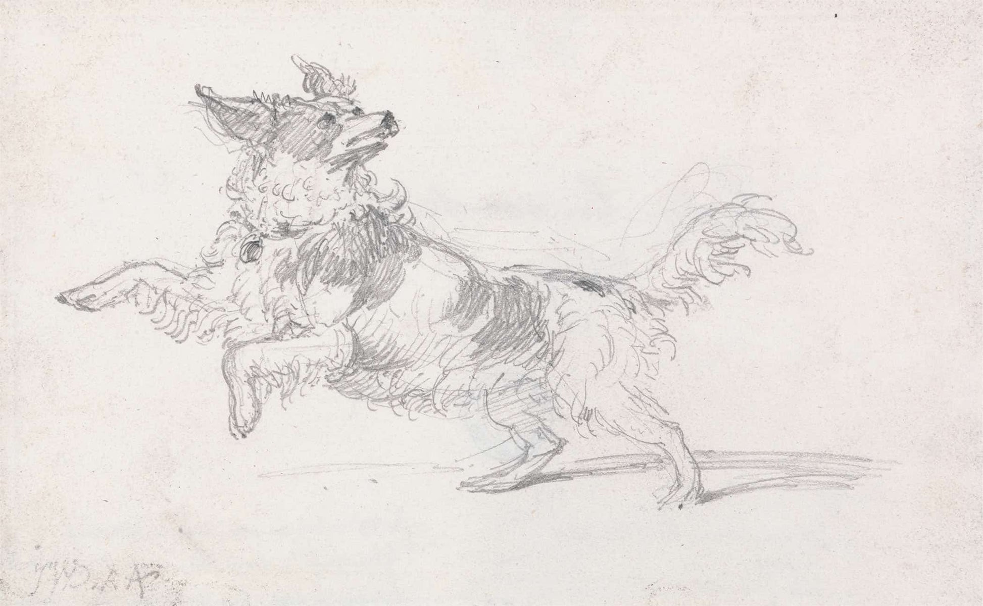 Lady Londonderrys Dog by James Ward
