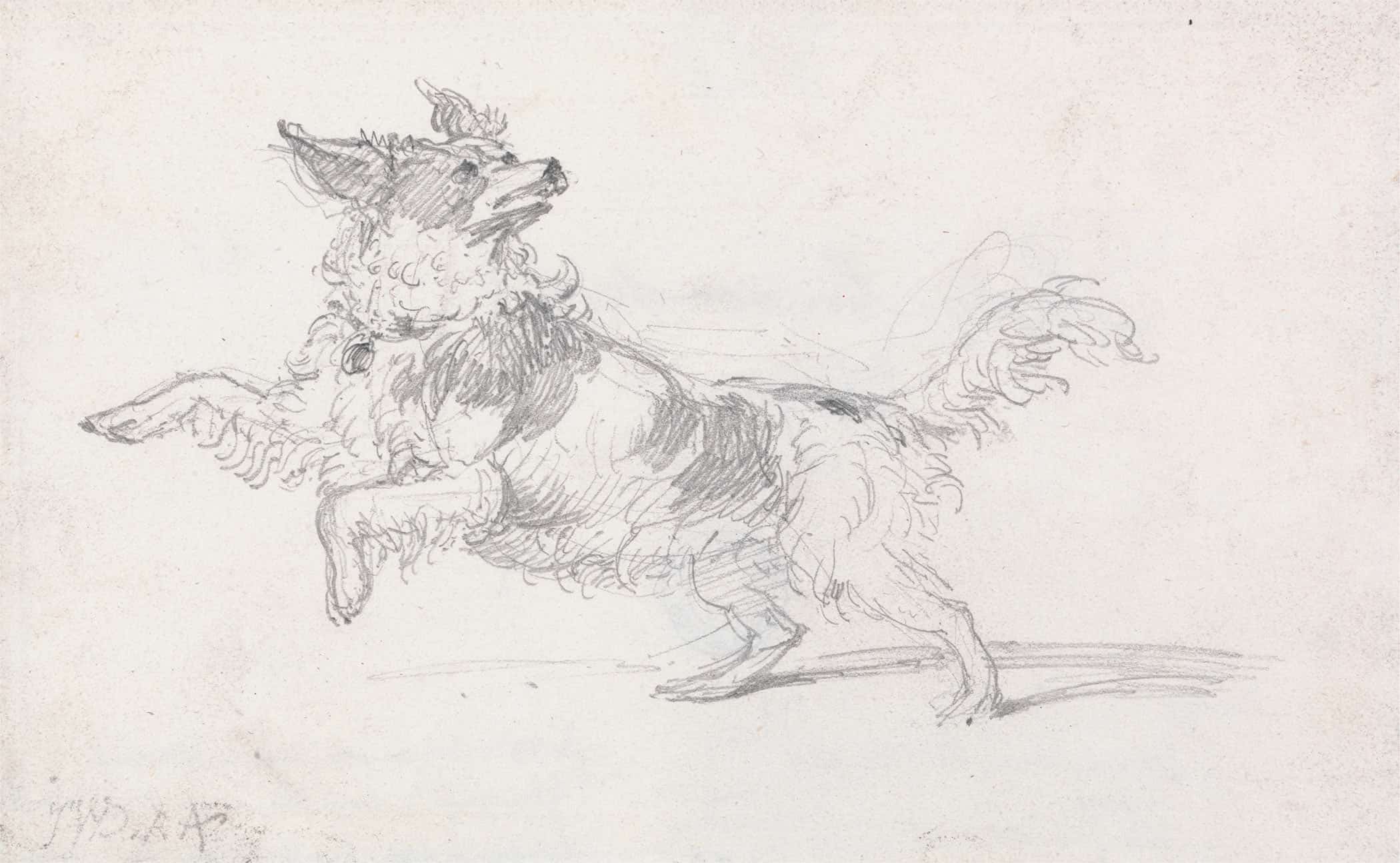 Lady Londonderrys Dog by James Ward