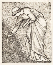 Lady Picking Flowers by Sir Edward Coley Burne Jones