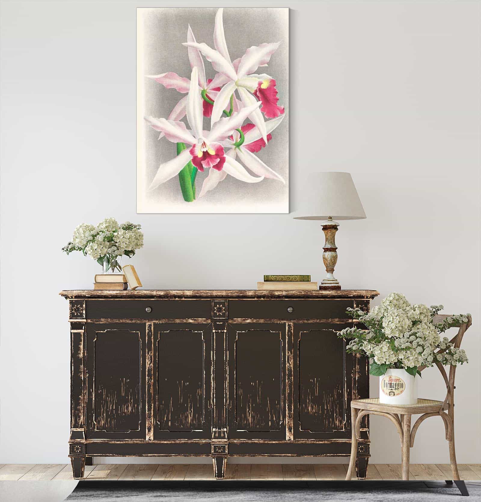 Laelia Elegans by Jean Jules Linden
