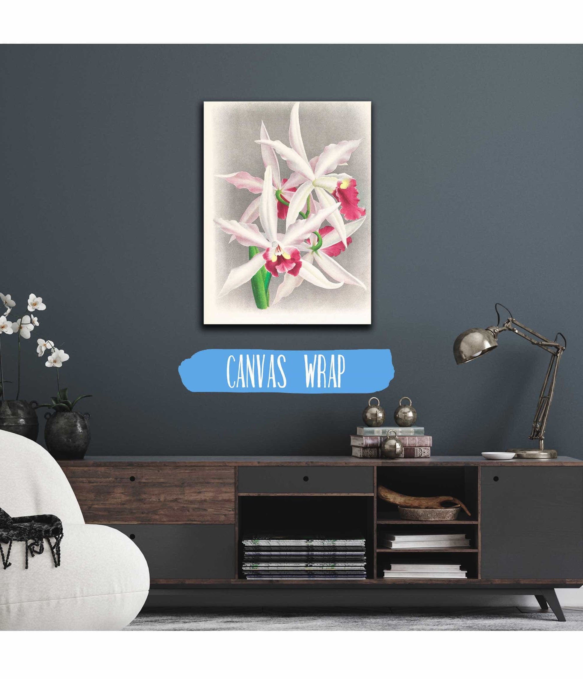 Laelia Elegans by Jean Jules Linden