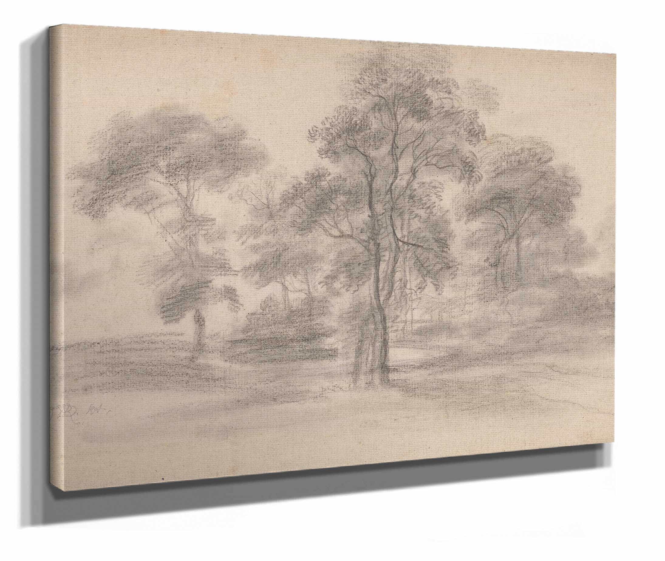 Landscape With Trees by James Ward