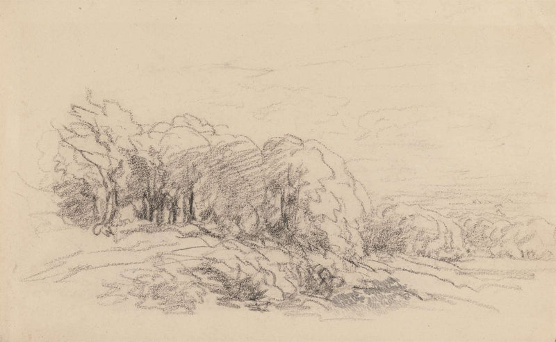 Landscape With Trees S by David Cox