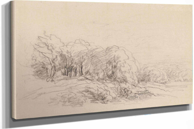 Landscape With Trees S by David Cox