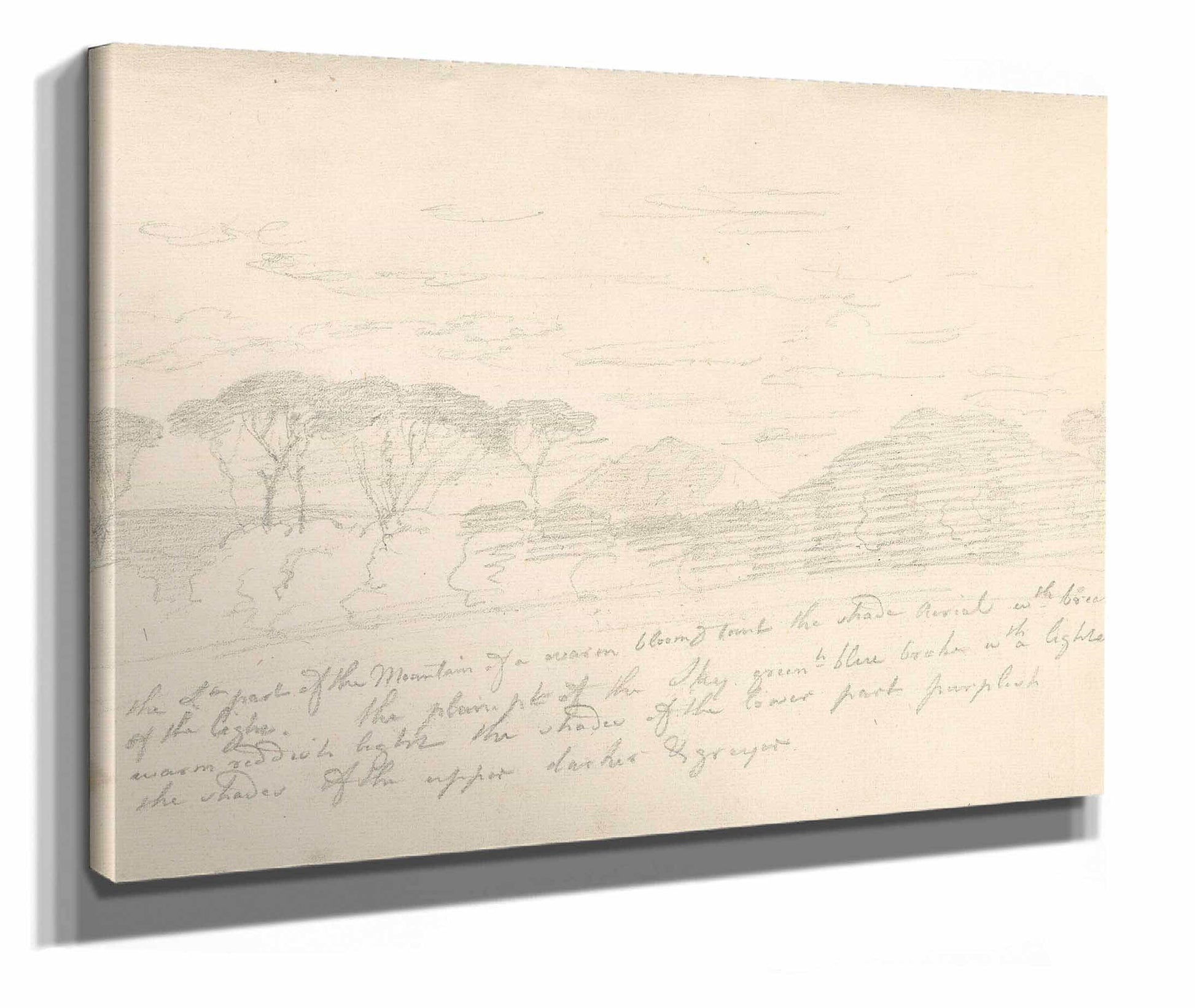 Landscape With Umbrella Pines And Distant Mountain  by Joseph Wright Of Derby