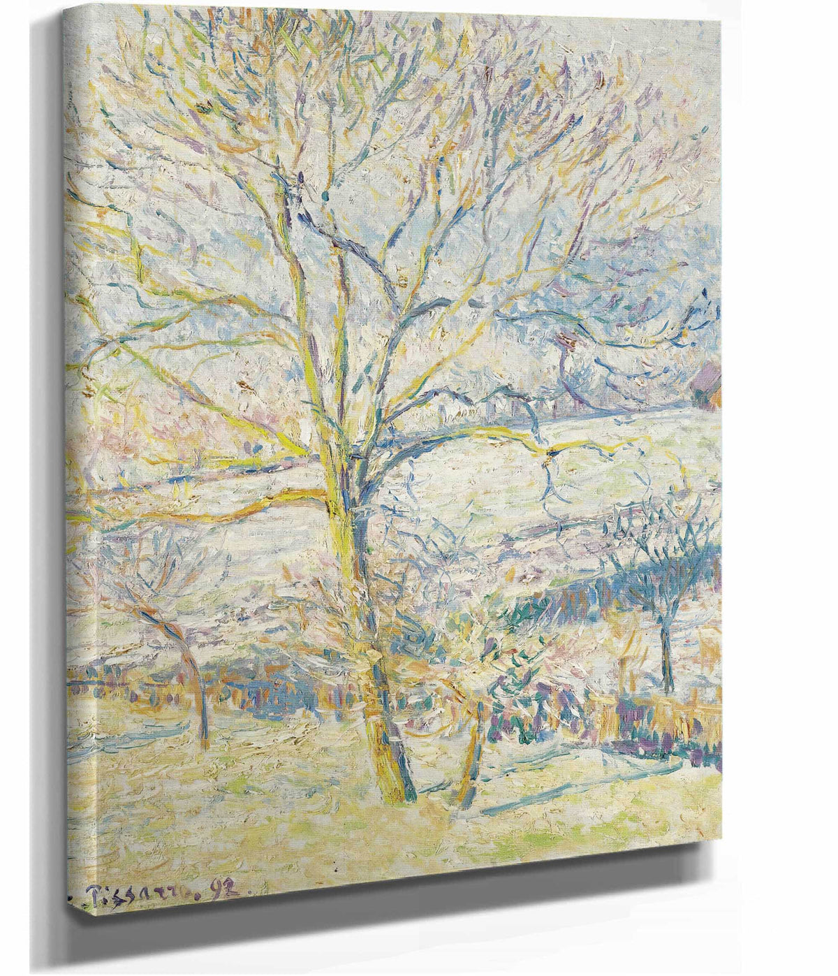 Le Grand Noyer Gelee Blanche Eragny by Camille Pissarro
