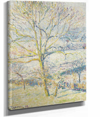 Le Grand Noyer Gelee Blanche Eragny by Camille Pissarro