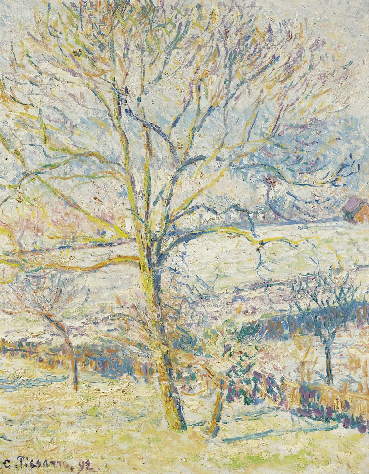 Le Grand Noyer Gelee Blanche Eragny by Camille Pissarro