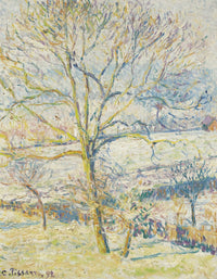 Le Grand Noyer Gelee Blanche Eragny by Camille Pissarro