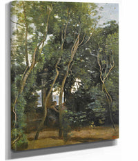 Le Matin Sous Les Arbres by Jean Baptiste Camille Corot