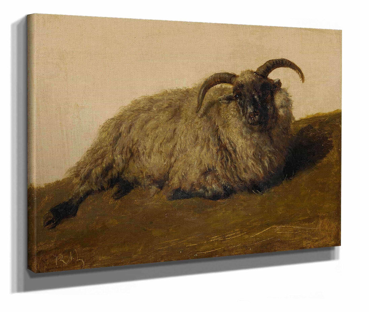 Le Merinos by Rosa Bonheur