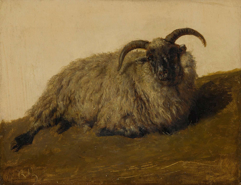 Le Merinos by Rosa Bonheur