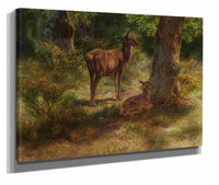 Les Cerfs Et Les Fauves Dans Un Bois by Rosa Bonheur