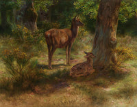 Les Cerfs Et Les Fauves Dans Un Bois by Rosa Bonheur