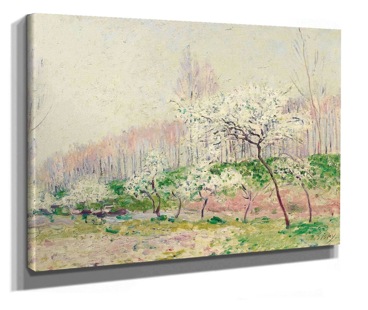 Les Pommiers En Fleurs by Alfred Sisley