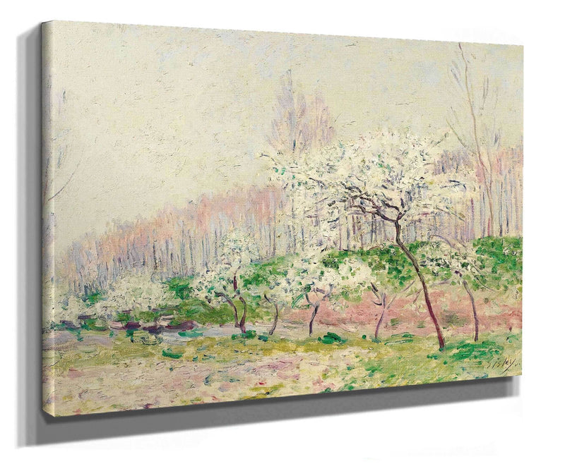 Les Pommiers En Fleurs by Alfred Sisley