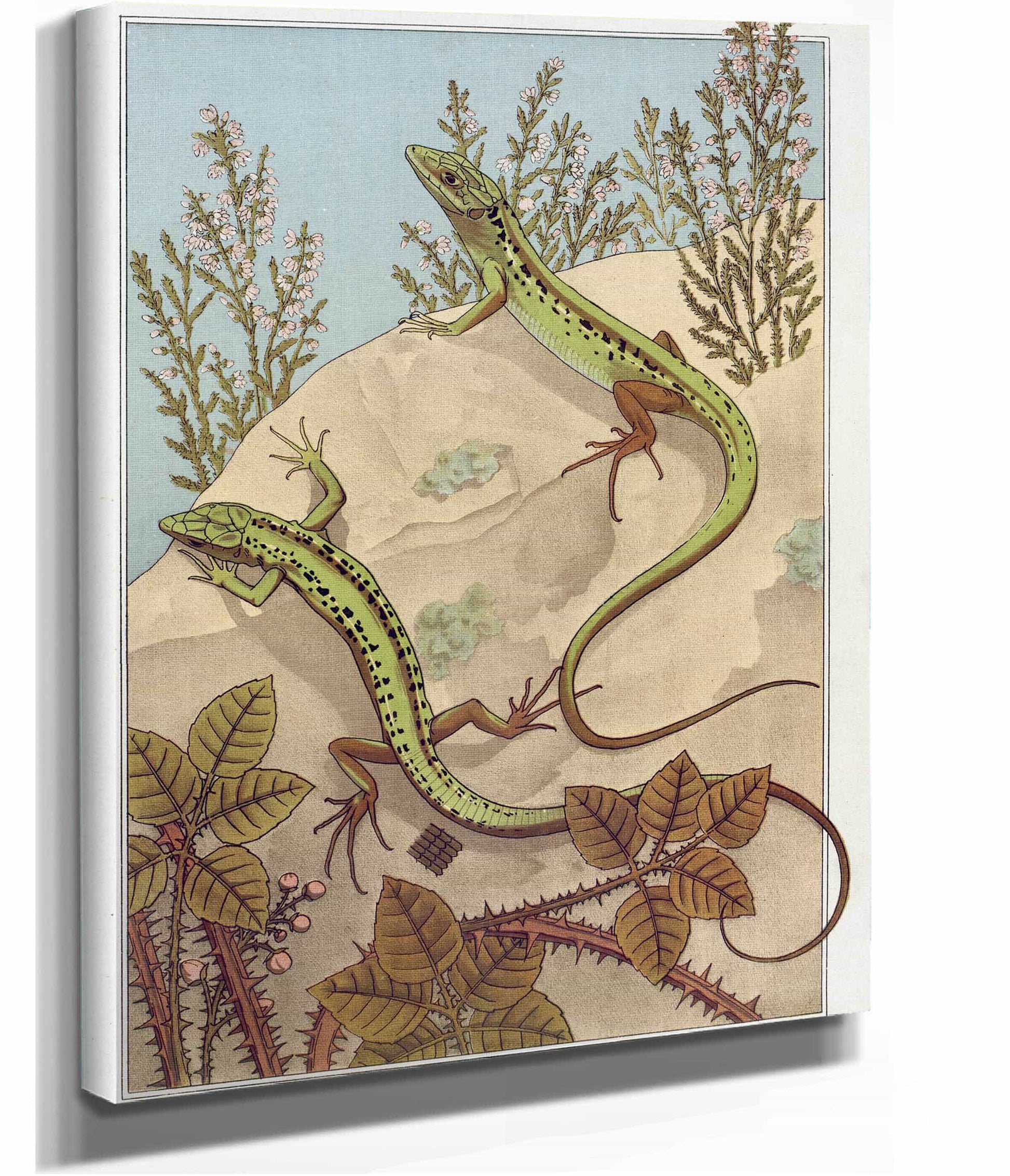 Lezard by Maurice Pillard Verneuil