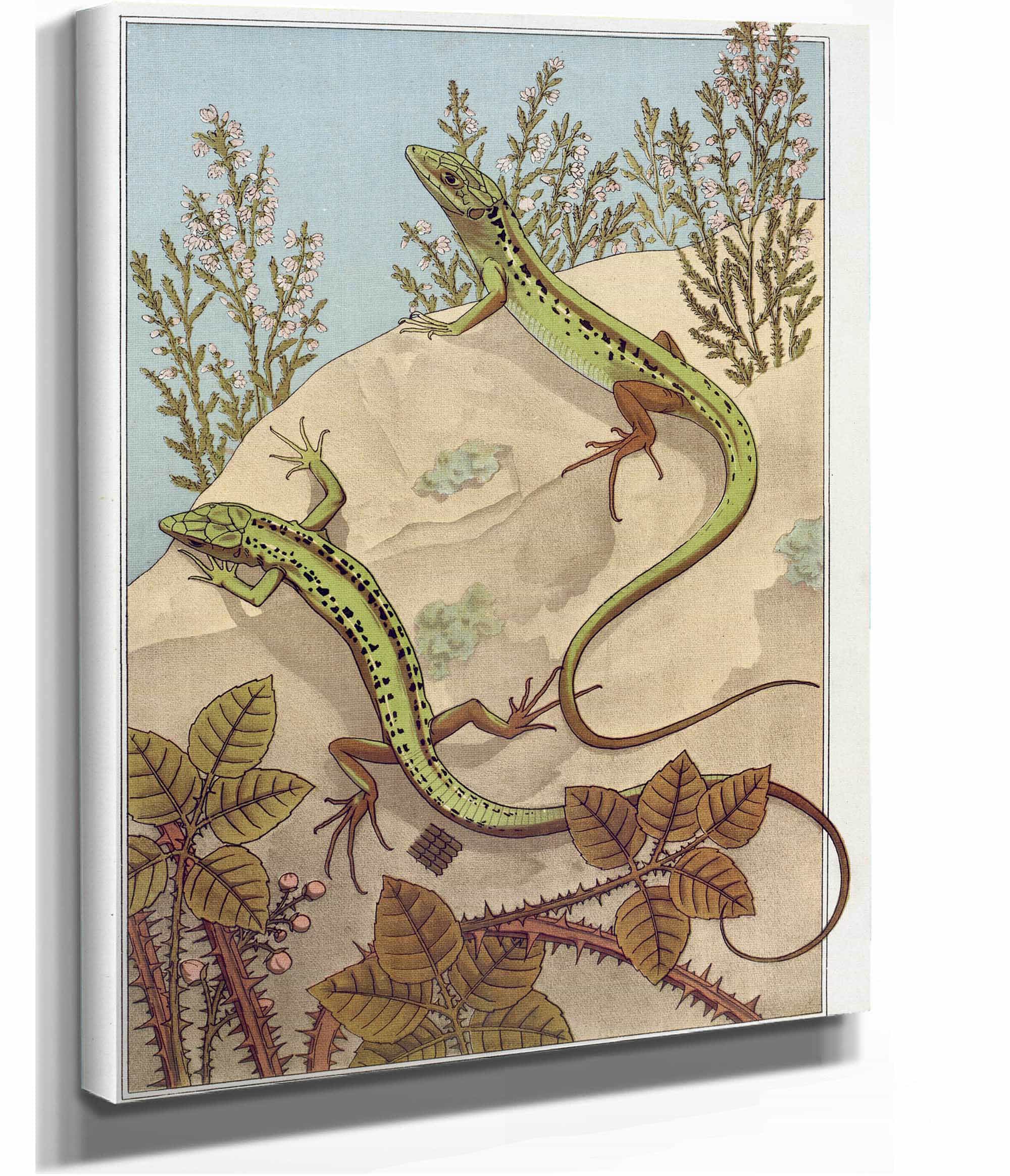 Lezard by Maurice Pillard Verneuil