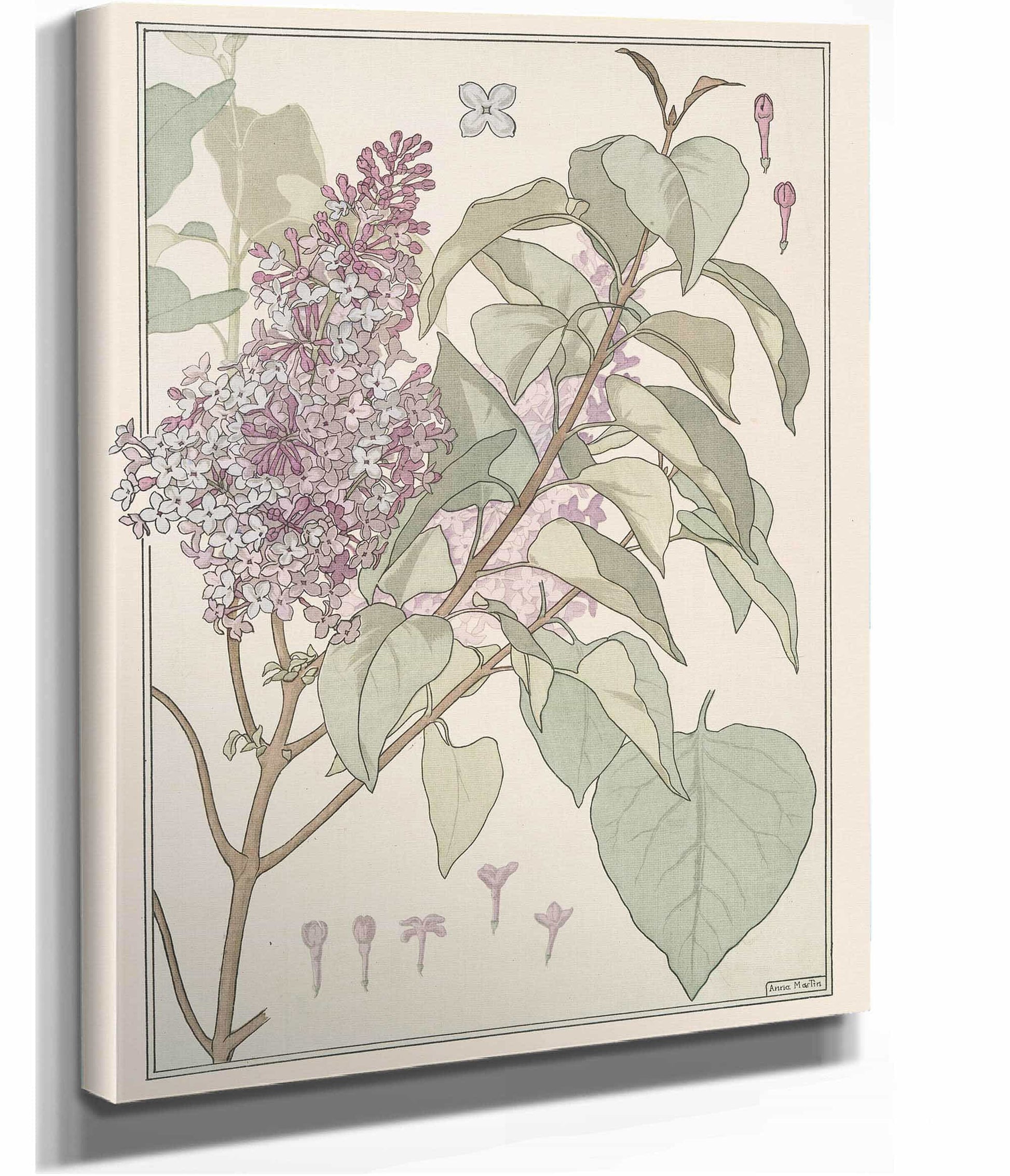 Lilas by Maurice Pillard Verneuil