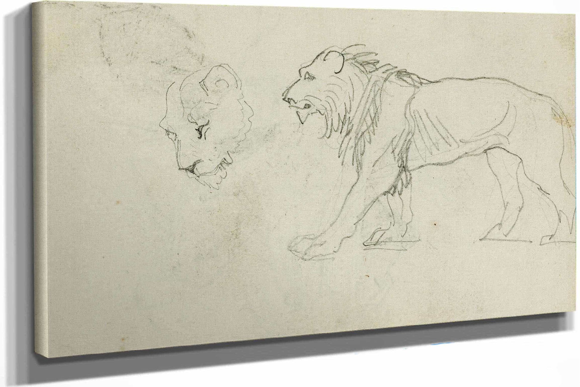Lion Walking Head Of A Lioness  by Theodore Gericault