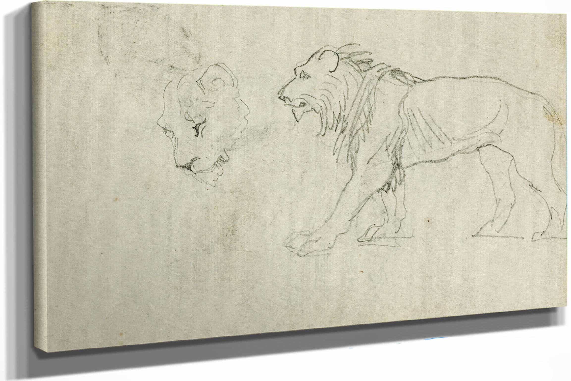 Lion Walking Head Of A Lioness  by Theodore Gericault