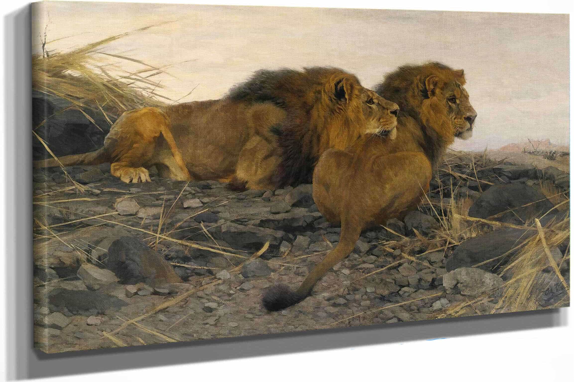 Lions At Watch by Wilhelm Kuhnert