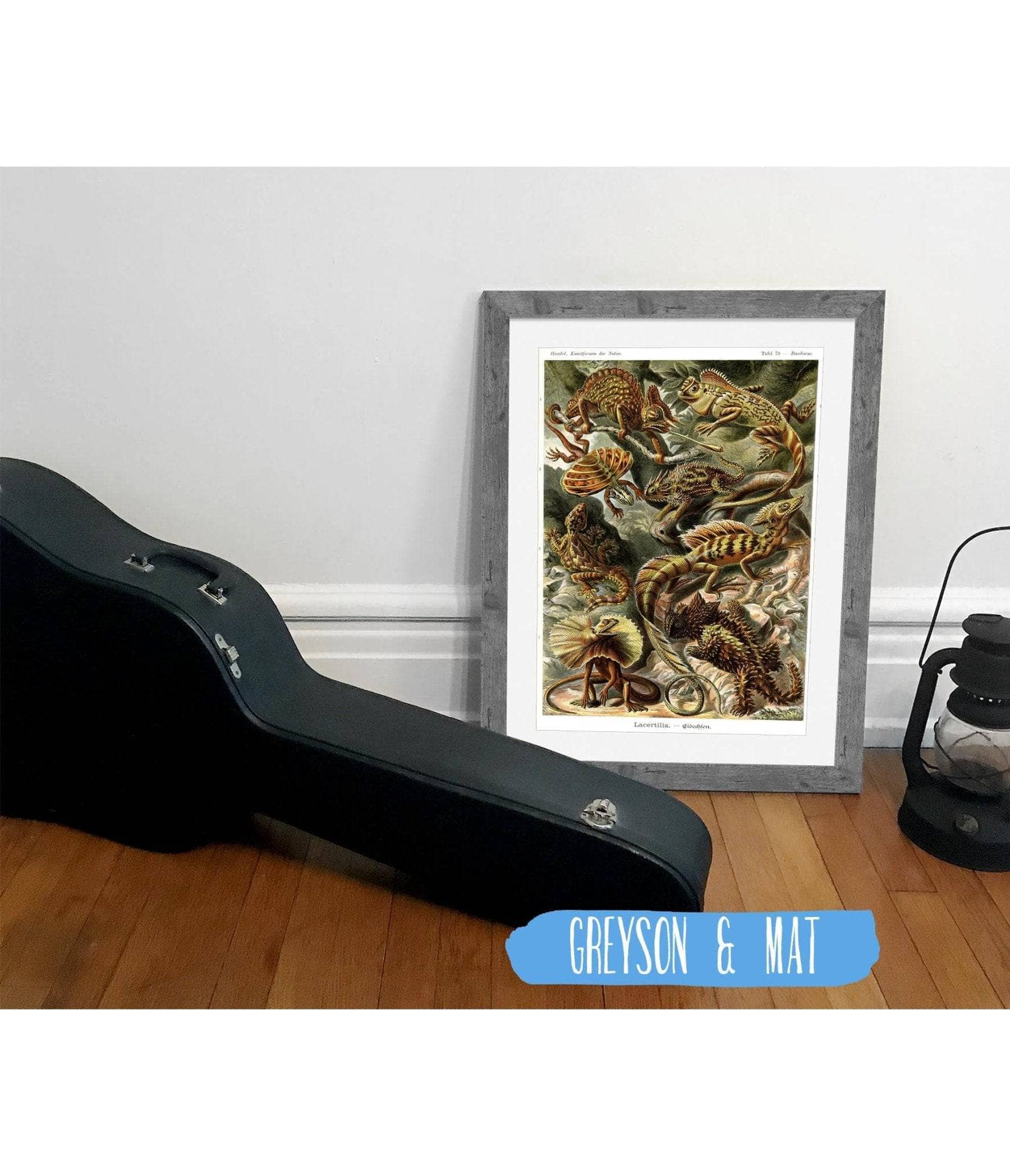 Lizard (Lacertilia). - Eidechlen