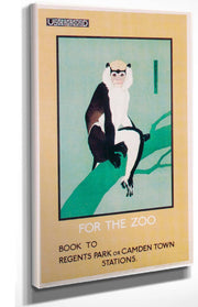 London Underground Advertising Poster Highlighting The Zoo Stop