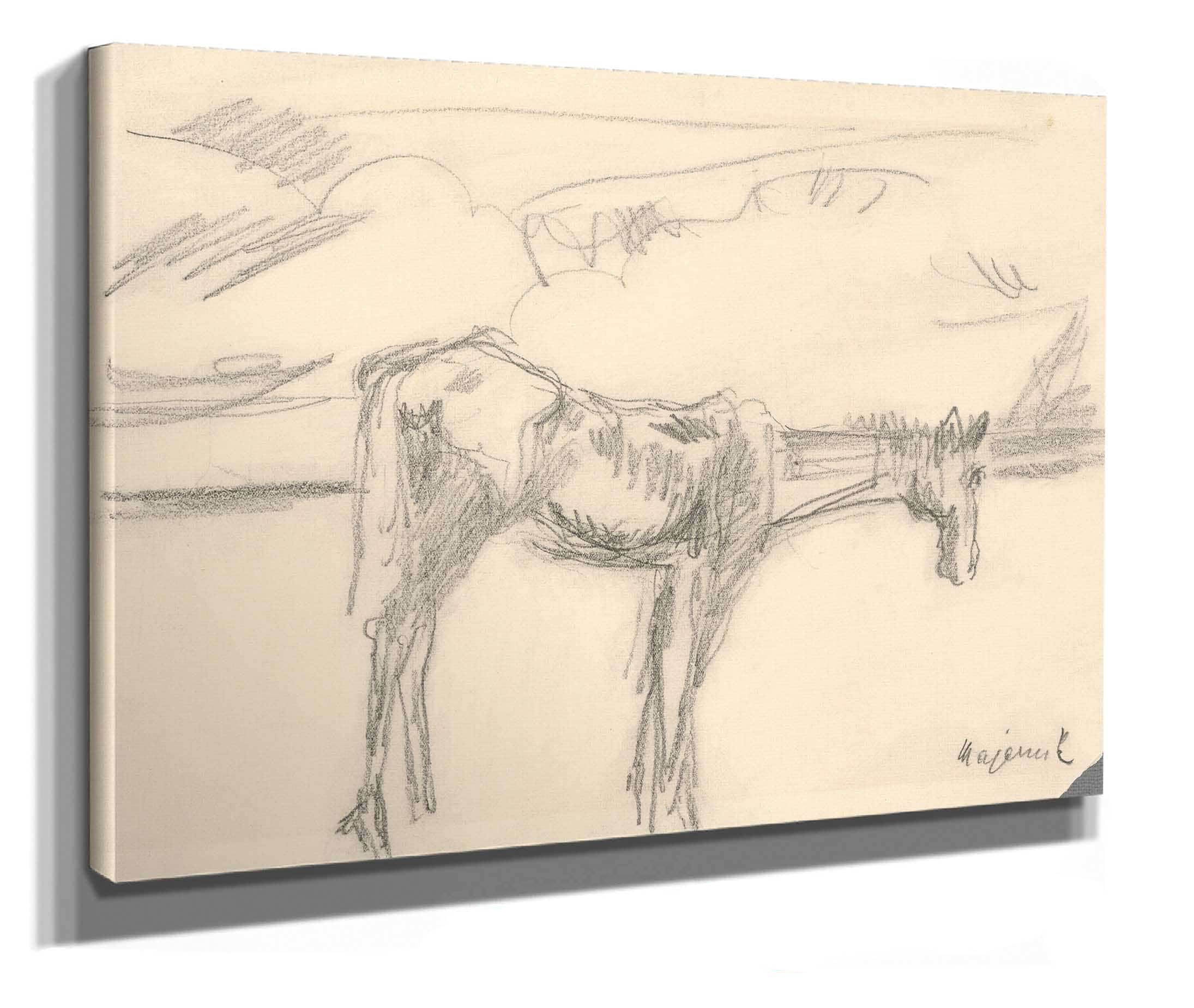 Lonely Horse by Cyprian Majernik