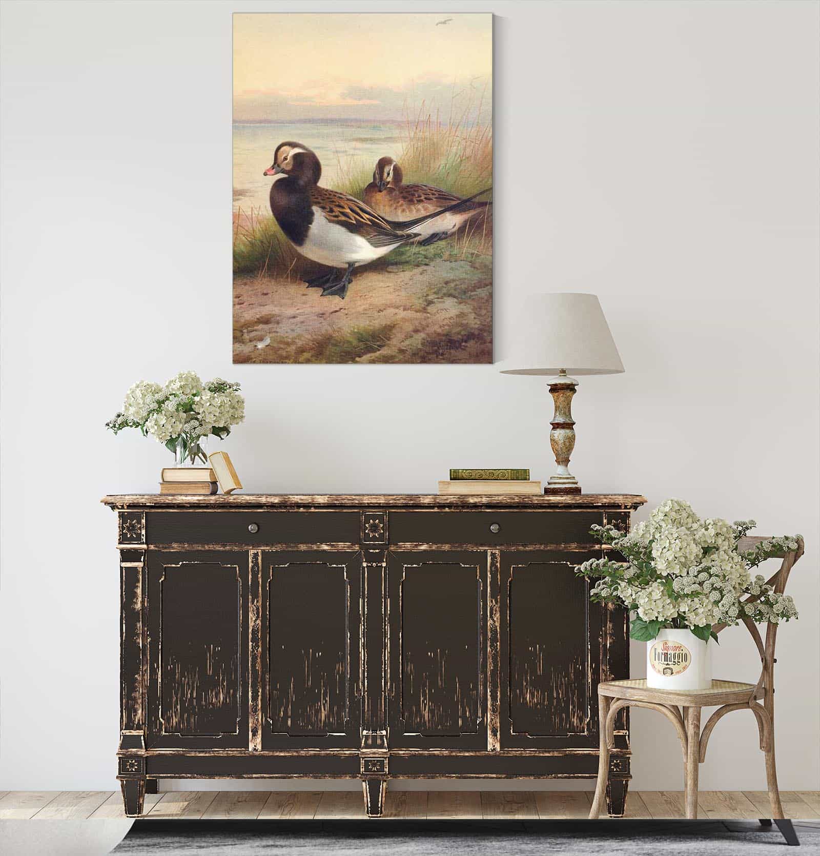 Long Tailed Duck Summer by Archibald Thorburn