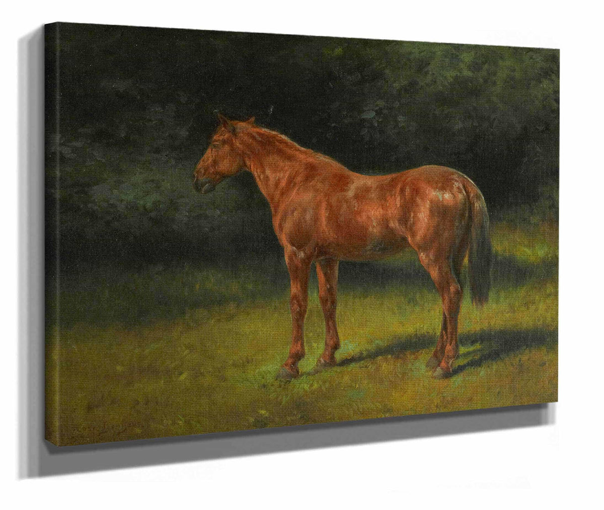 Loseille Rouge by Rosa Bonheur