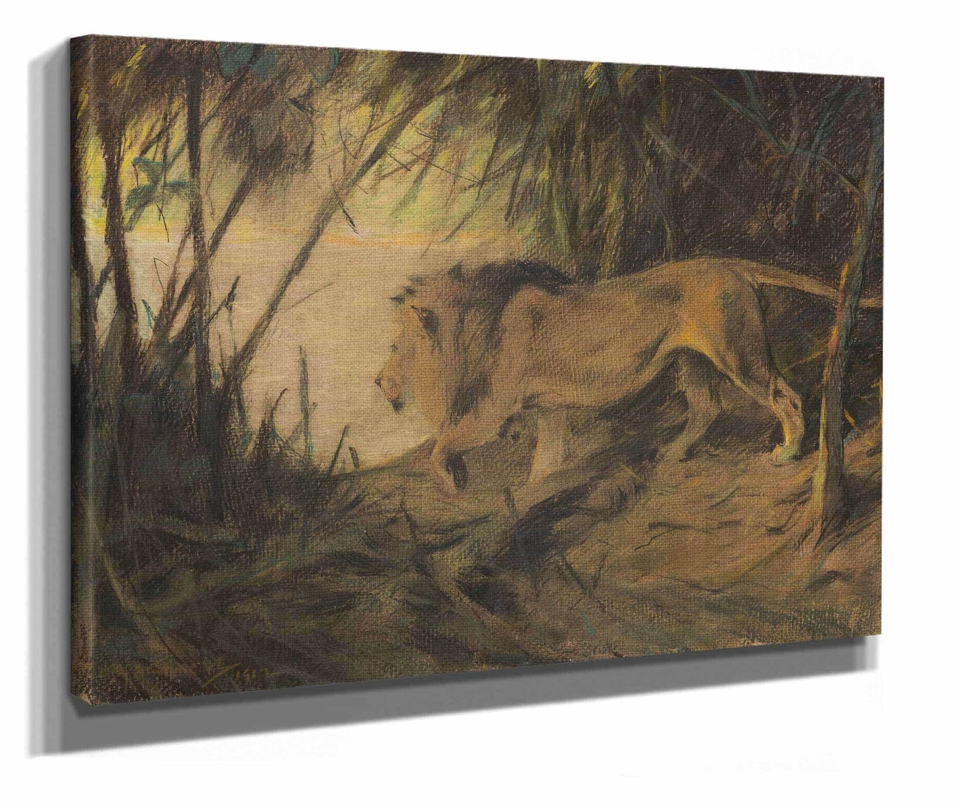Lowe Zum Flusse Ziehend by Wilhelm Kuhnert