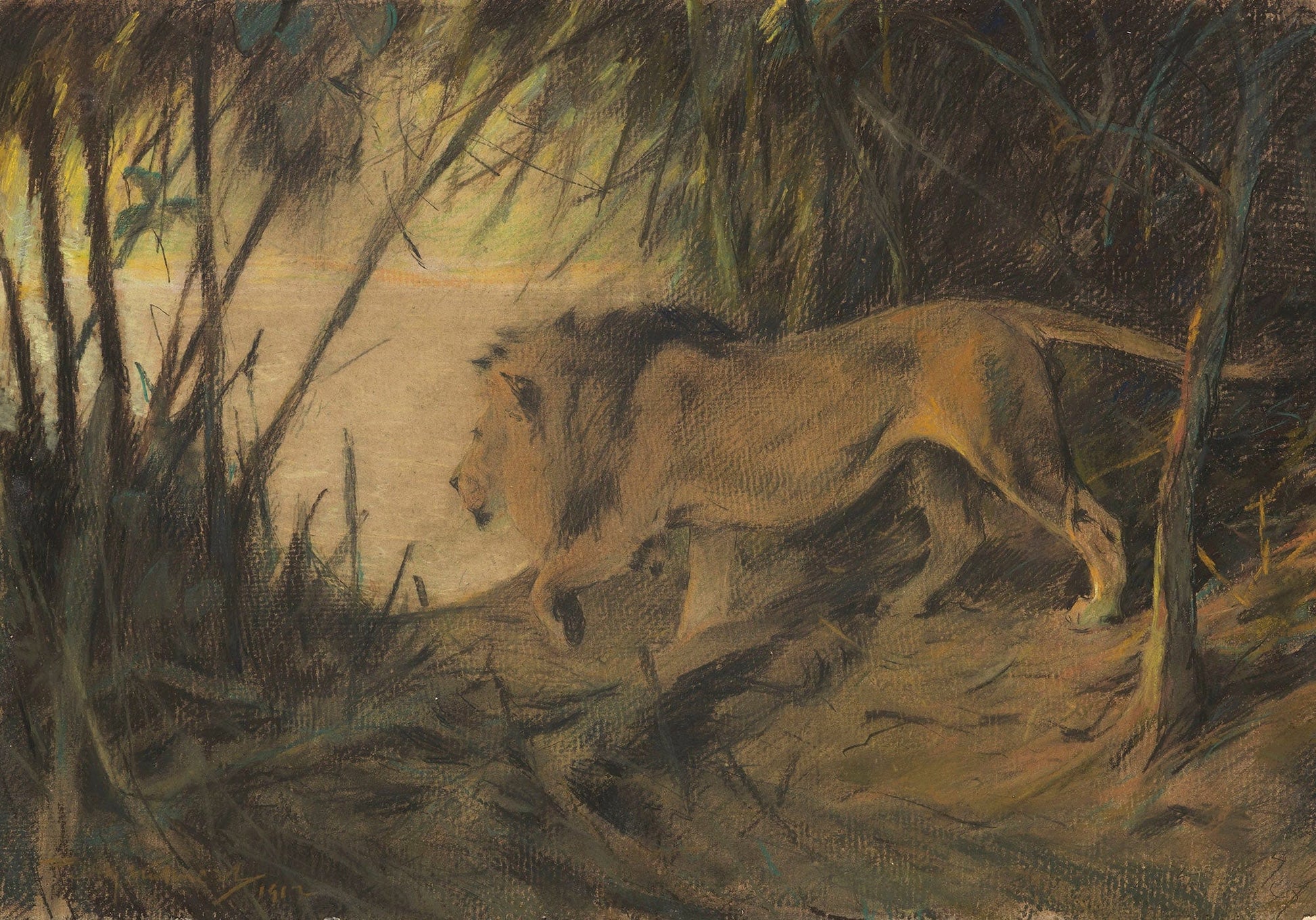 Lowe Zum Flusse Ziehend by Wilhelm Kuhnert
