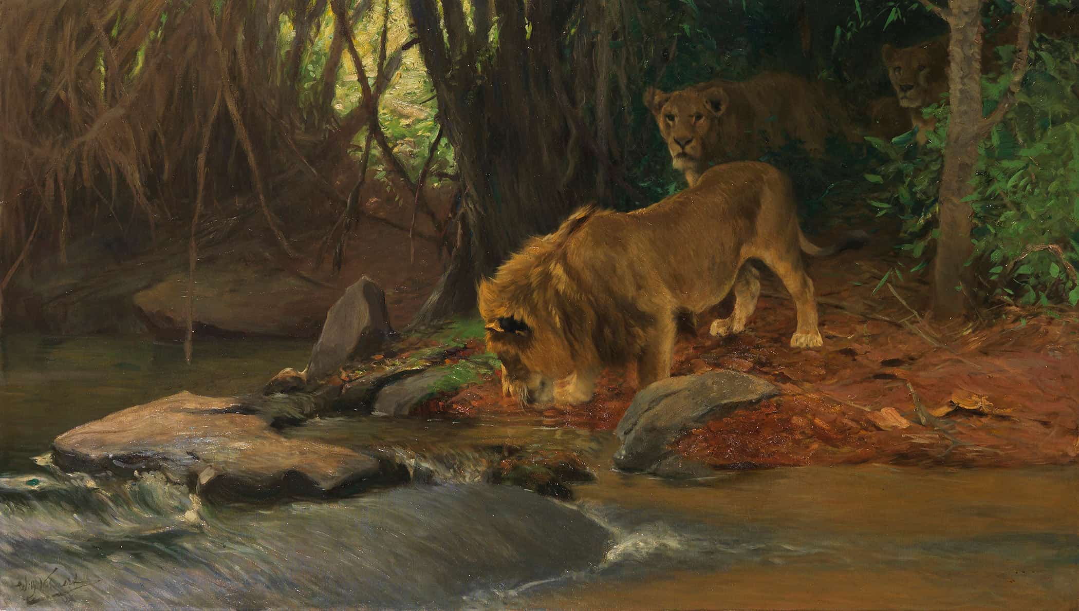 Lowen Am Urwaldbach by Wilhelm Kuhnert
