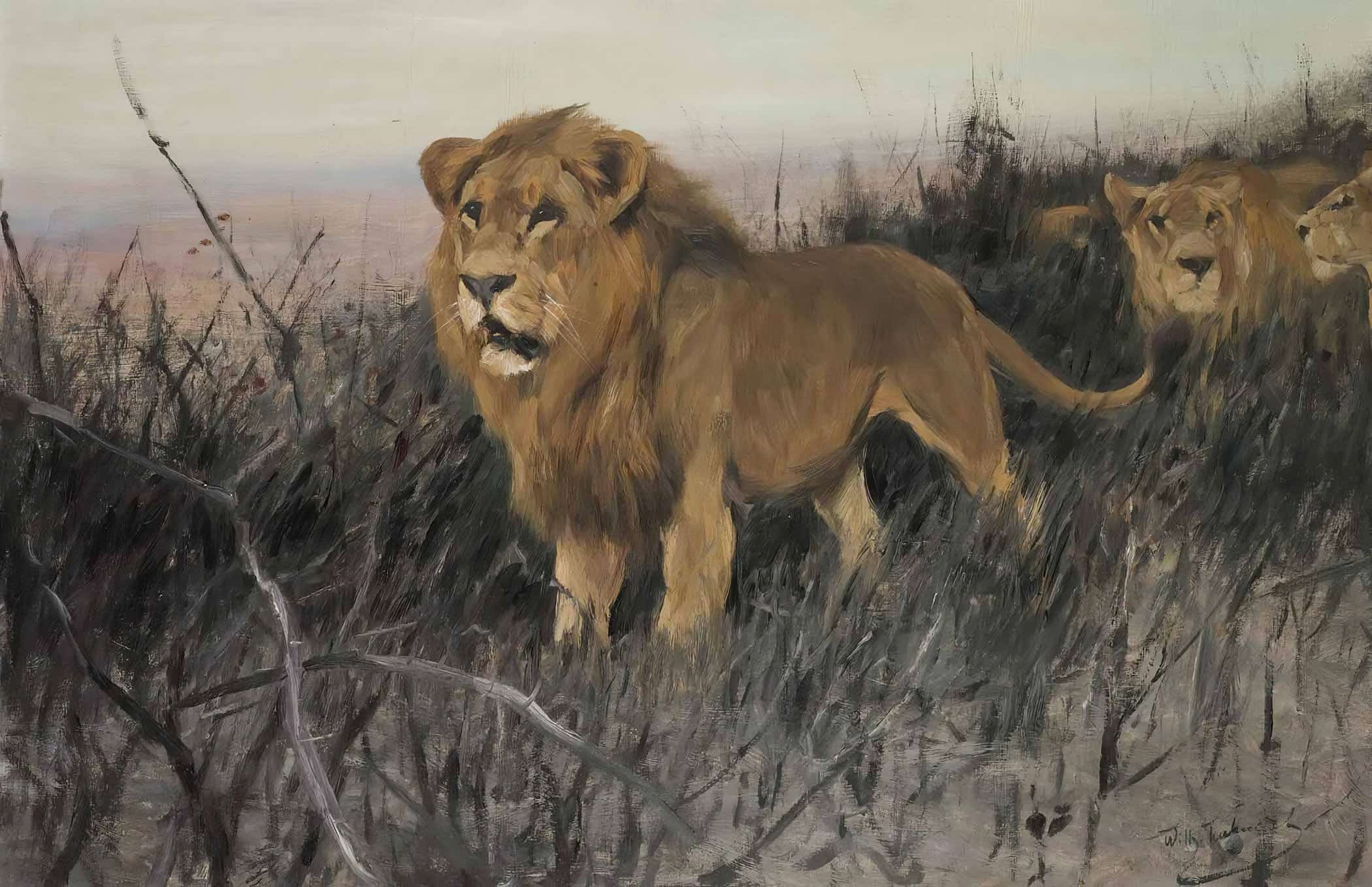 Lowen In Verbrannter Steppe Lions In A Burnt Steppe by Wilhelm Kuhnert