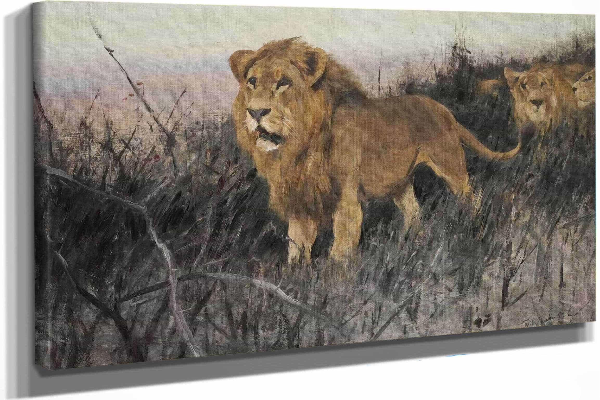 Lowen In Verbrannter Steppe Lions In A Burnt Steppe by Wilhelm Kuhnert