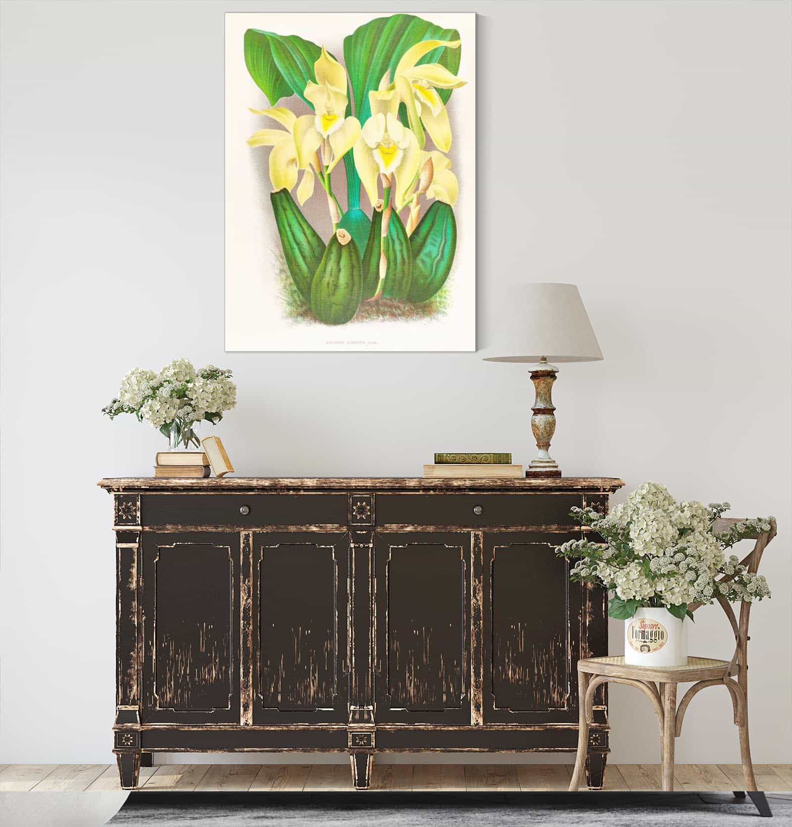 Lycaste Costata by Jean Jules Linden