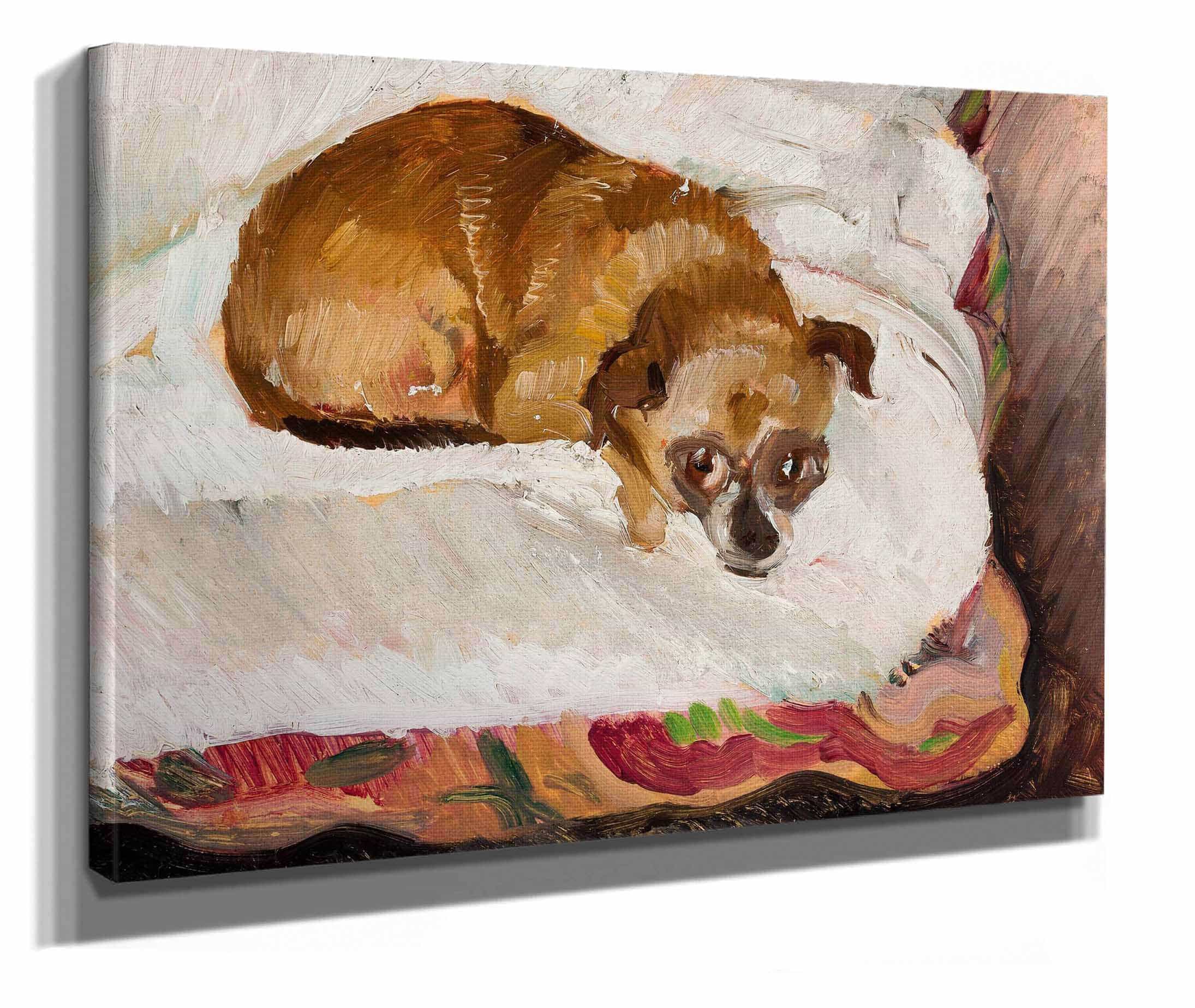 Lying Dog by Zygmunt Waliszewski