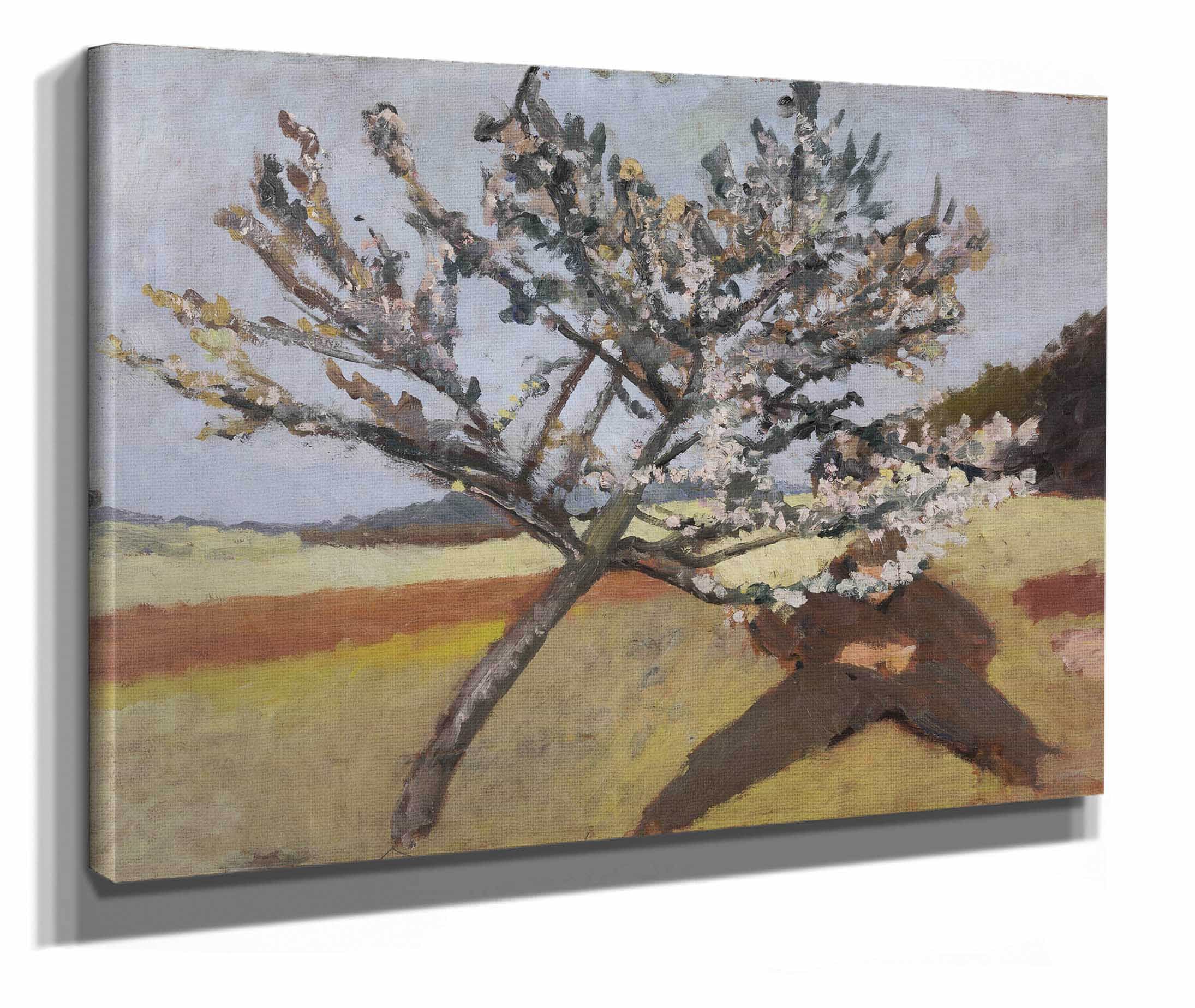 Man Lying Beneath A Blossoming Tree by Paula Modersohn Becker