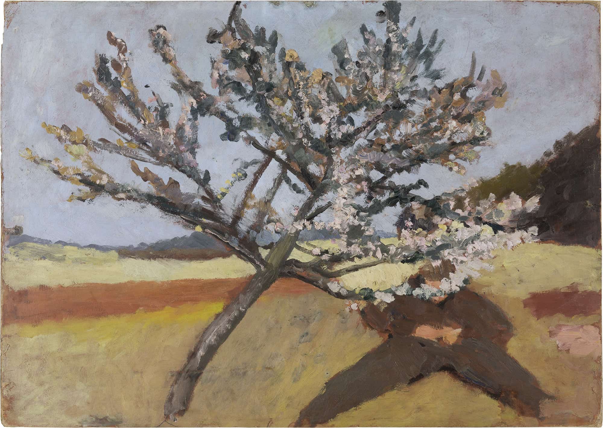 Man Lying Beneath A Blossoming Tree by Paula Modersohn Becker