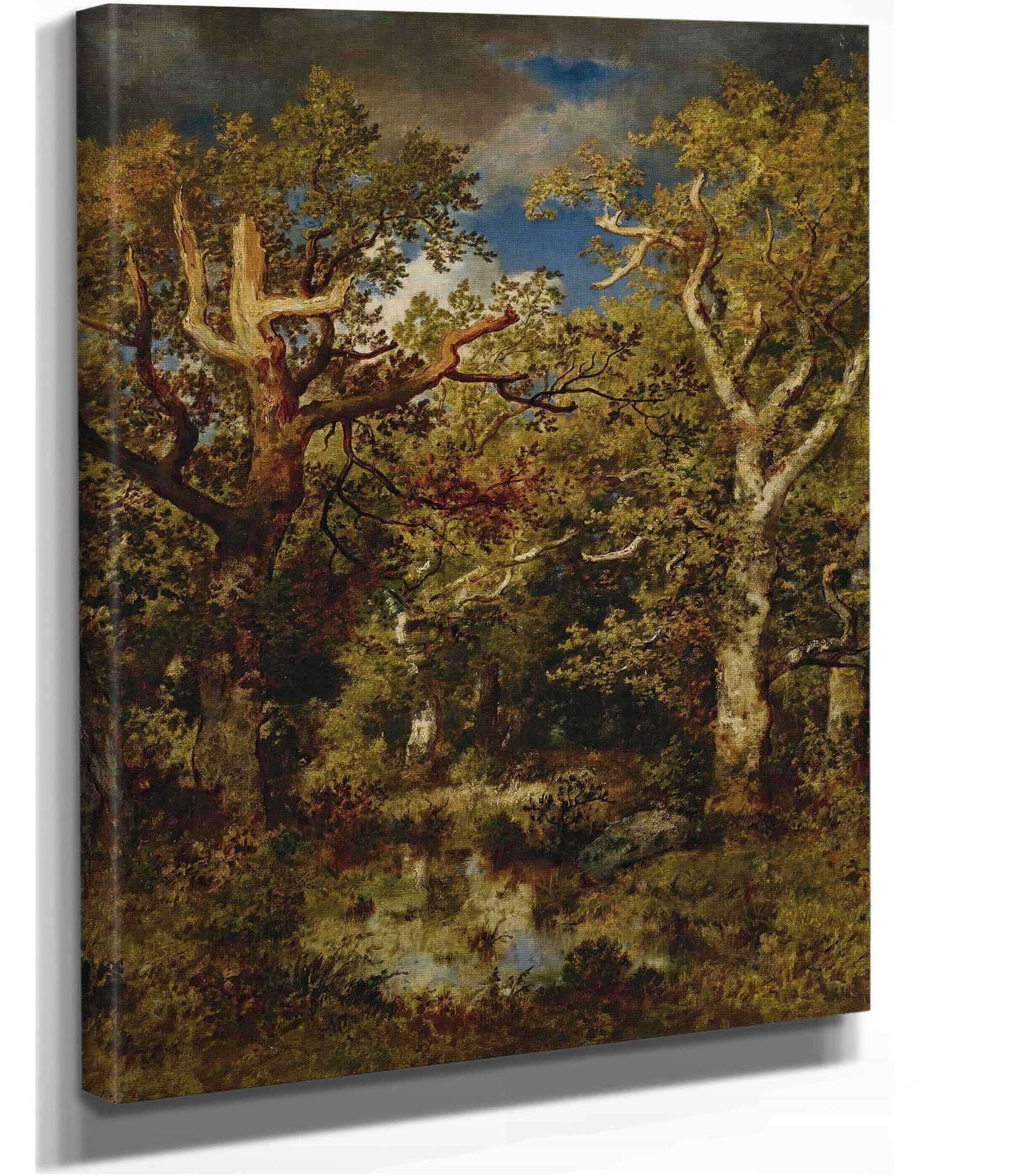 Mare En Foret Chene Demi Mort by Narcisse Virgile Diaz De La Pena