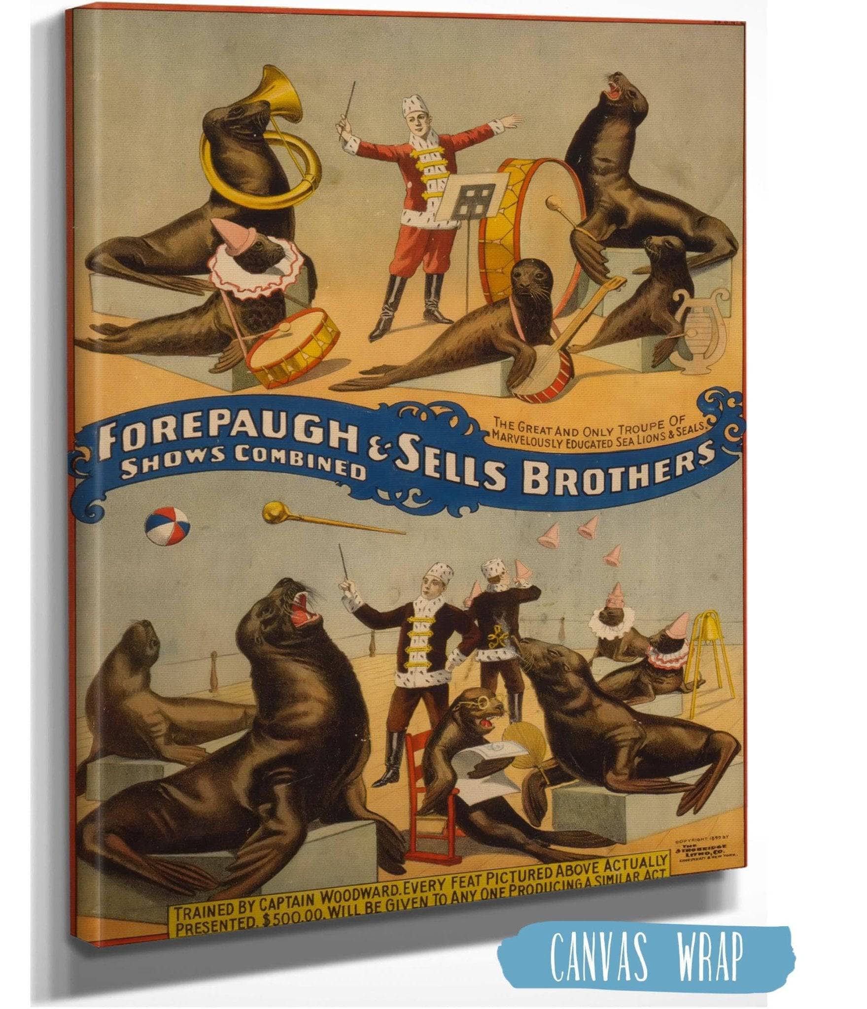 Marvellously Trained Circus Seals, 1899