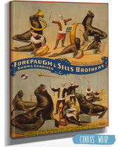 Marvellously Trained Circus Seals, 1899