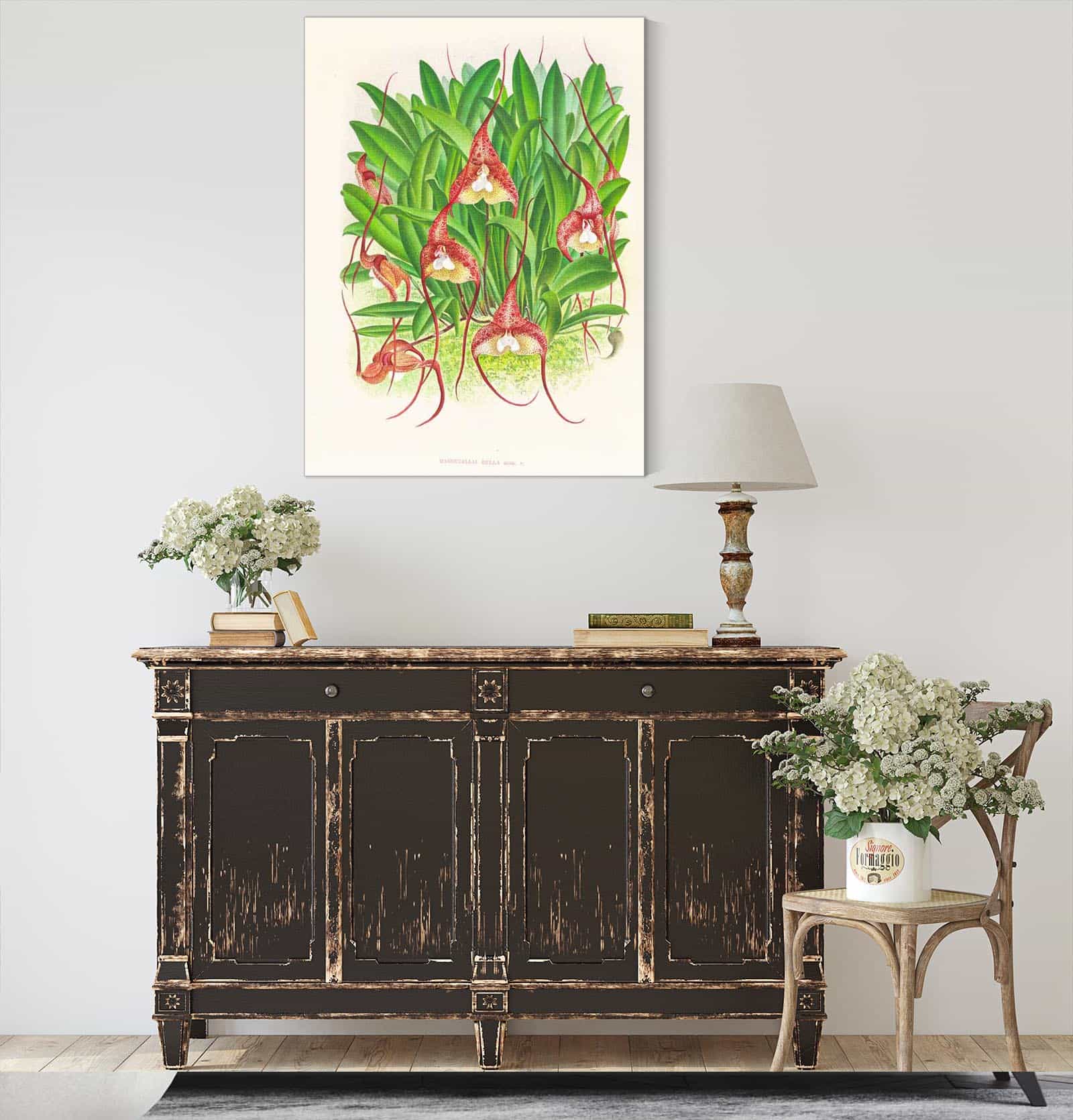 Masdevallia Bella by Jean Jules Linden